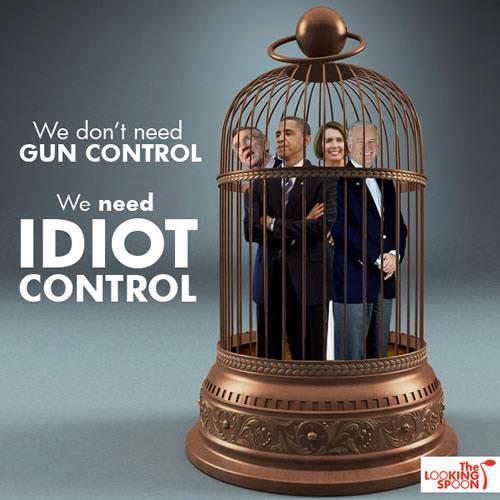 We don't need GunControl. We need IDIOT Control!