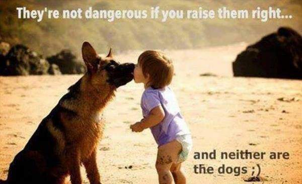 Dog and Child -  They're not dangerous if you raise them right...