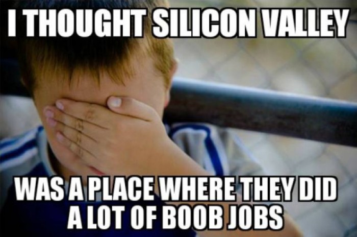 Silicon Valley - Boob Jobs