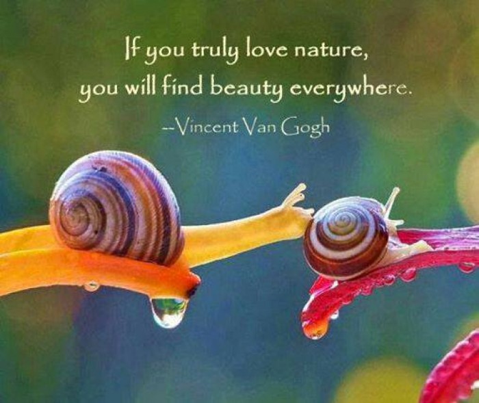 Vincent van Gogh - “If you truly love nature, you will find beauty everywhere.”