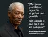 Marijuana prohibition is just the stupidest law possible. Just legalize it and tax it like we do liquor. Morgan Freeman