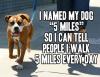 I named my dog "5 miles" so I can tell people I walk 5 miles every day 