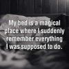 My bed is a magical place..