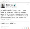 Job Stealing Immigrant 